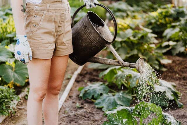 tips for gardening and composting